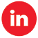 LinkedIn Icon